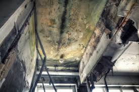 Best HVAC Mold Inspection and Cleaning  in Melrose Park, NY